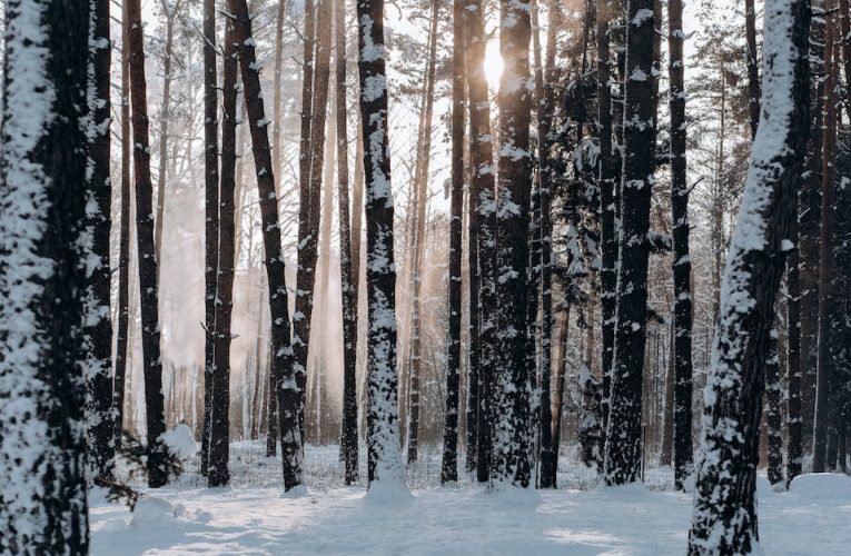 Pogoda w Lublinie: Zaskakujące zmiany klimatyczne i jak się do nich przygotować